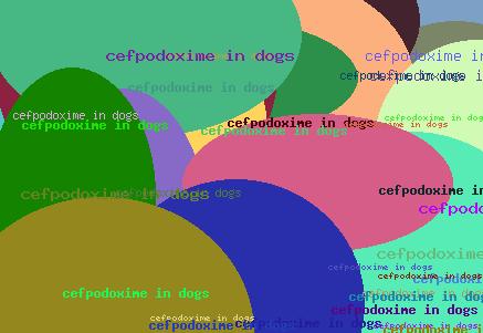 CEFPODOXIME IN DOGS